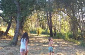 Ninho Bico-de-Lacre ~ o paraíso é a/na Terra - Foto 26