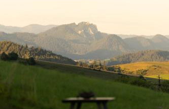 Houten Villa "ReisnaarPolen" Royaal ontbijt tevens Gluten Lactose vrij, Vega en diner mogelijk, sauna en Hottub - Foto 20