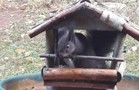 Schau ins Land - Foto 29