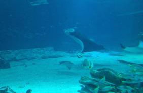 Proche Nausicaa, gare & remparts, spacieuse maison 3 chambres, cour privée, parking gratuit & adaptée aux vélos - Foto 54