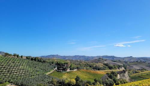 Agriturismo Fiorano - Foto 4