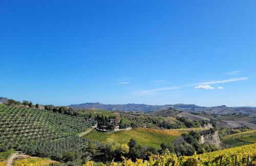 Agriturismo Fiorano - Foto 4