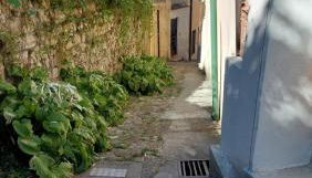 Il Vicoletto - Photo 2