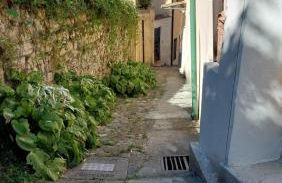 Il Vicoletto - Photo 2