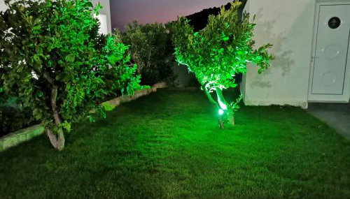 Zervakis Apartments - Foto 4, Garden