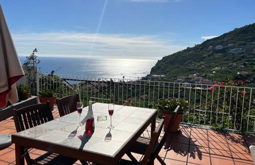 Tropical Garden - Photo 61