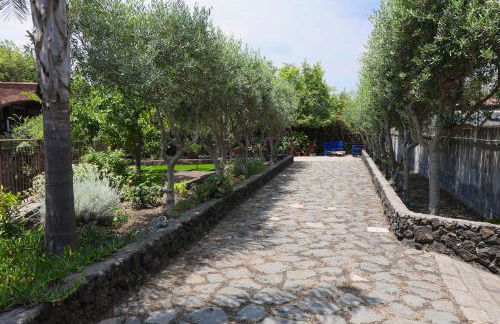 Casa delle foglie - Foto 12