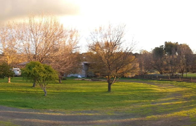 Jilly Park Farm Interactive Experience - Foto 20