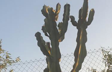 Cresta Azul - Foto 77