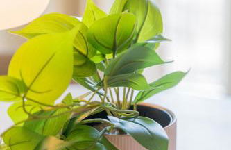 Sarrouge S.a.r.l / Le Gabriel - Photo 88