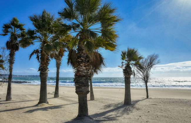 Royal Marine - Foto 24