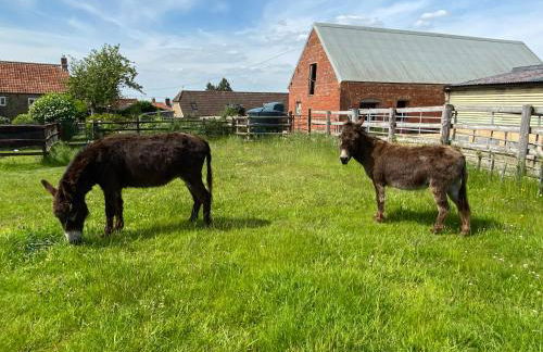 Rew Farm Country and Equestrian Accommodation - Sunset Lodge - Photo 31