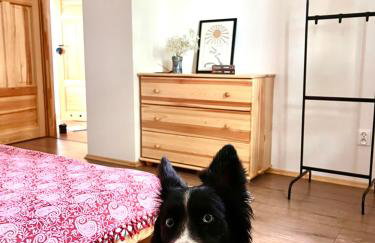 Przystanek Gałkowo - Foto 25