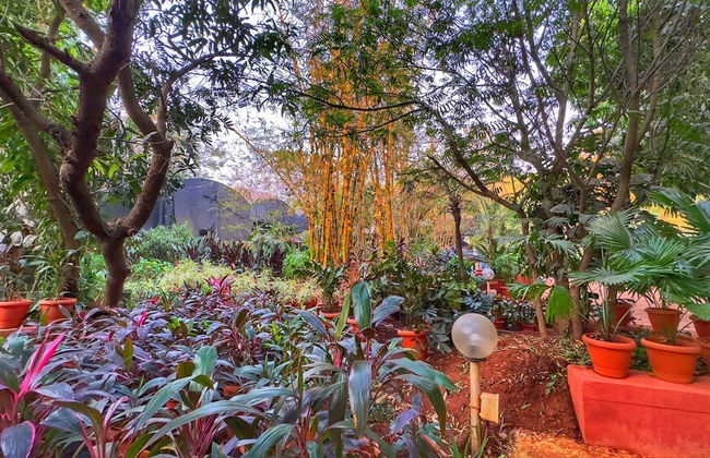 Peace Lily Cottage - Photo 32