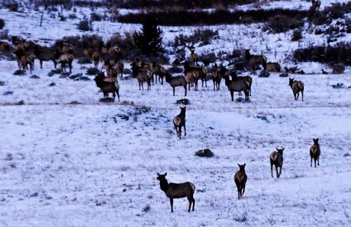 The Shepherd's Retreat - Foto 13