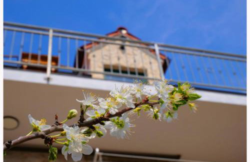 House Natalija - Foto 16