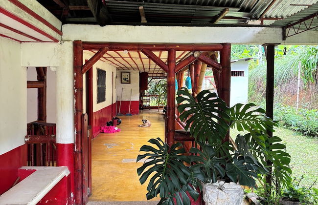 Finca La Macarena by Welttisch - Photo 63