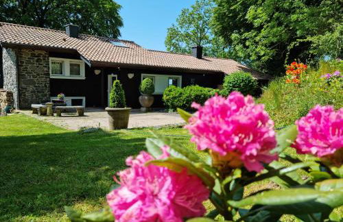 Ferienhaus Vogelsbergblick, Fernblick, Sauna, Kamin, 1700m eingezäunt in Alleinlage - Foto 1