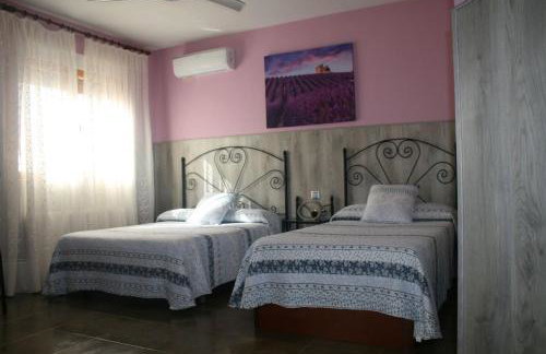 Flor de la Jara - Foto 78