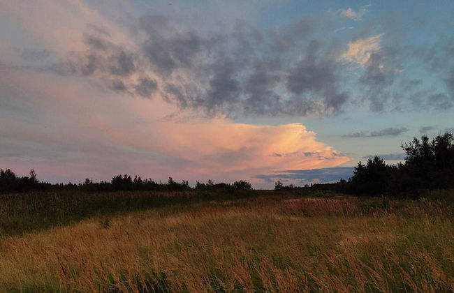 4 Star Holiday Home in Hals - Foto 7