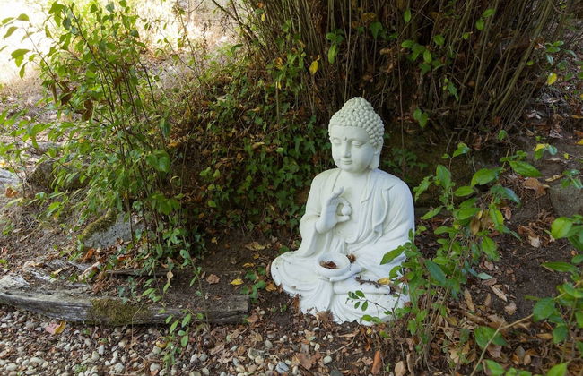 Forest House Casinha do Carvalhal - Foto 28