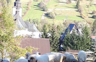 Apartament Jagodzianka Biały Dunajec - Foto 29