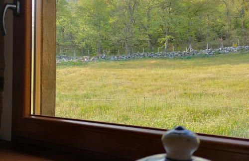 Invernal de Tobaño - Foto 12