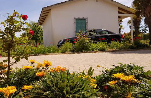 Bungalow bei Emma - Foto 25