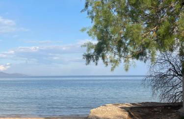 L' Onda Artemis - Foto 71