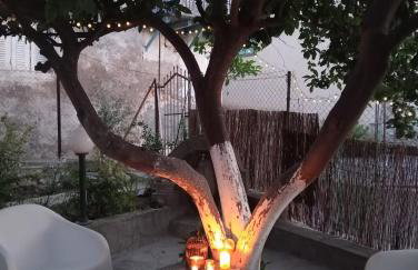 LimonoSpito - Photo 21