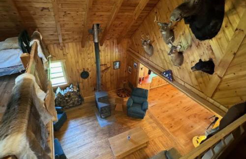 Halls Corner Lodge I Peaceful Woodland Escape - Foto 5