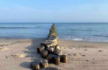 Ferienwohnung Sanddornidylle - Foto 13