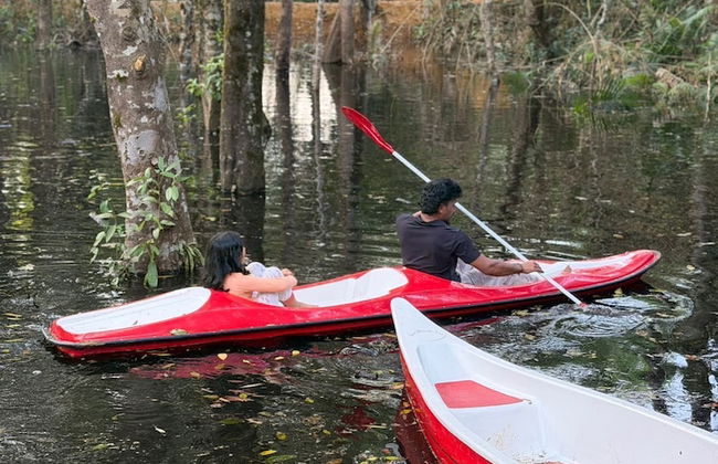 Coorg Tree House - Foto 28