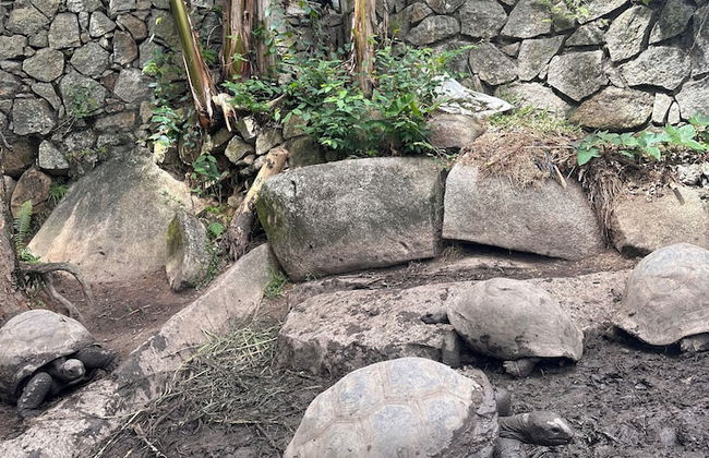 Koko Villas - Foto 35