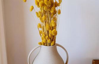 Portugal countryside retreat for remote workers and digital nomads - Foto 32