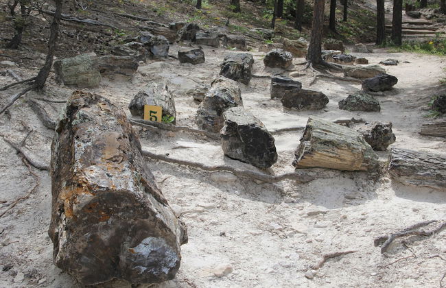 Elk Creek Resort - Foto 67