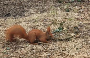 Ferienhaus Stefanie - Foto 15