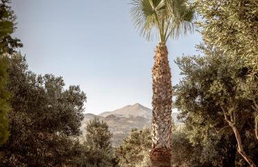 The Quintessential Cretan Villa - Photo 18