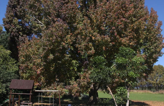 Ardmore Guest Farm - Photo 40