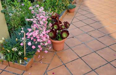 A casa da Piruleta - Foto 26