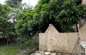 Casa com Igarapé - Photo 18