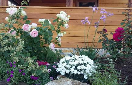 Agriturismo Valiana - Foto 49