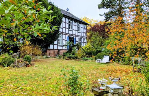 Ferien im Pfarrhaus - Foto 35