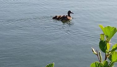 Les Clés Nature - Foto 4