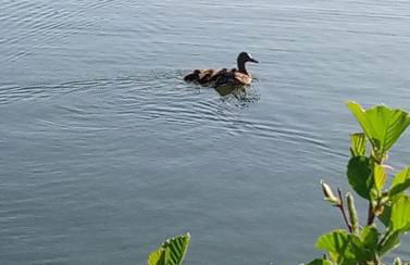 Les Clés Nature - Foto 4