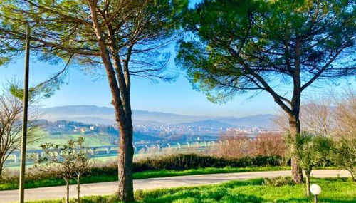 Tenuta Il Sogno - Foto 4