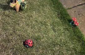 Rancho do mar - Foto 8