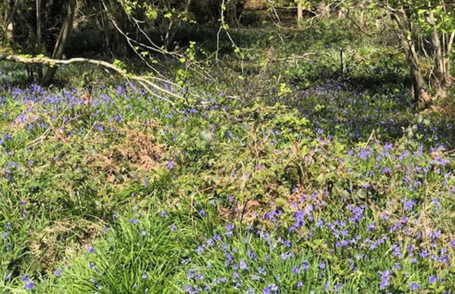 1 Bedroom Apartment Sleeps 2 - Pets Welcome - Tv - Foto 6