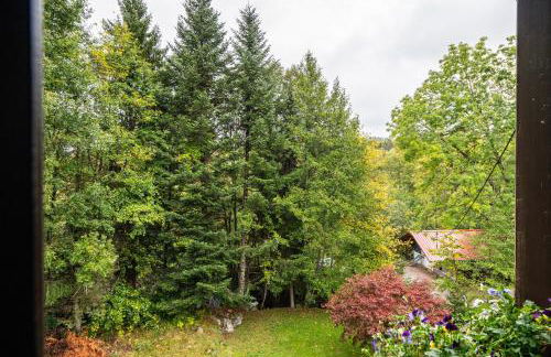 Landhaus Am Schmiedebach - Foto 28