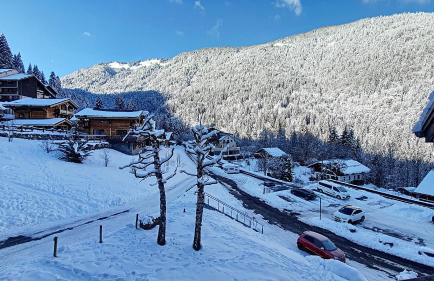 APPARTEMENT 6 COUCHAGES - ST JEAN D'AULPS - PROCHE PIED DES PISTES - PROCHE MORZINE - Cimes 44 - Foto 8